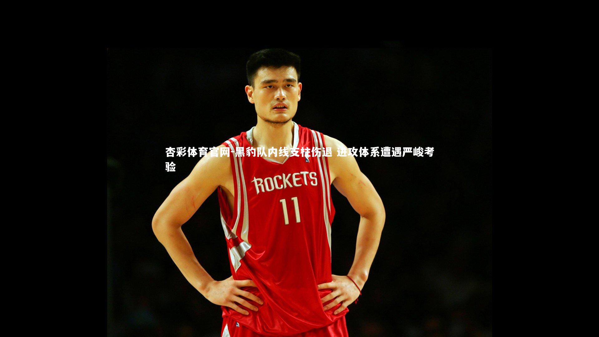杏彩体育官网-黑豹队内线支柱伤退 进攻体系遭遇严峻考验
